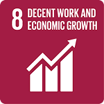 SDG 8