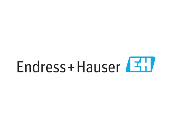 Endress Hauser